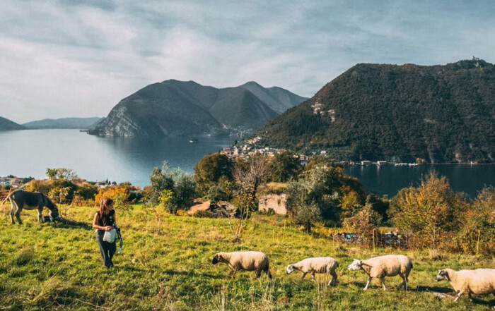 A person walks through a grassy hillside with a donkey and several sheep, overlooking a lake surrounded by forested mountains and a small village on the shoreline.
